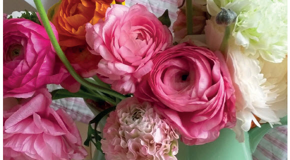 Frühlingsgeflüster….