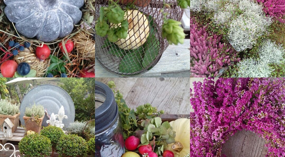 herbstlicher Kaffeeklatsch