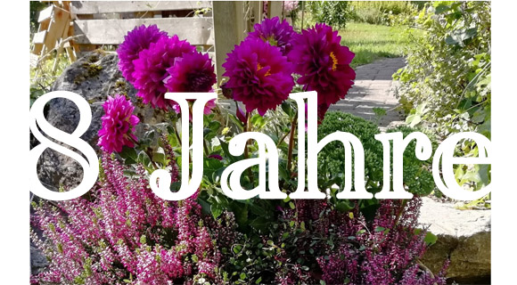 8 Jahre Blumen…