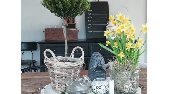 Infos zum Umgang in Corona-Zeiten