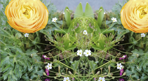 …meine gewohnten Ladenöffnungszeiten…