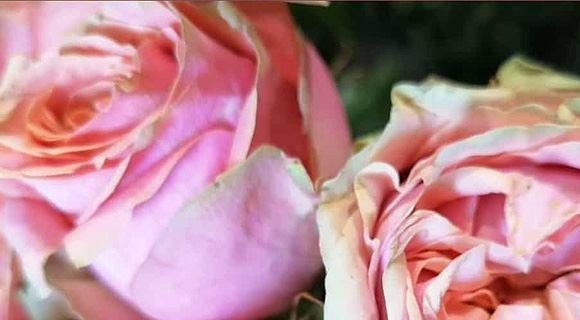 Muttertag, 20% Rabatt…