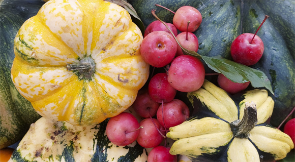 Kaffeeklatsch und 20% Rabatt