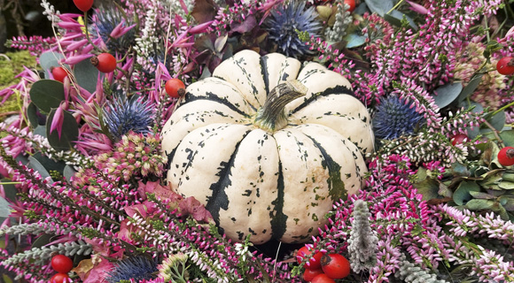 Wir feiern den Herbst mit…